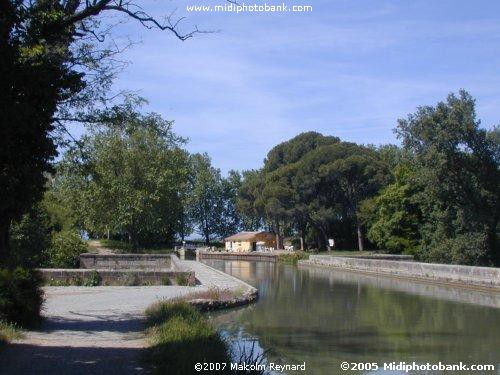 High Summer on theCanal du Midi