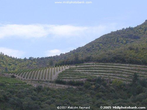 Haut Languedoc Regional Park