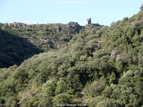 Haut Languedoc Regional Park