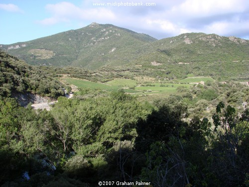 Haut Languedoc Regional Park