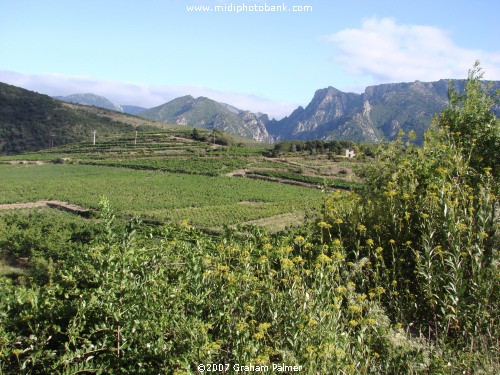 Haut Languedoc Regional Park