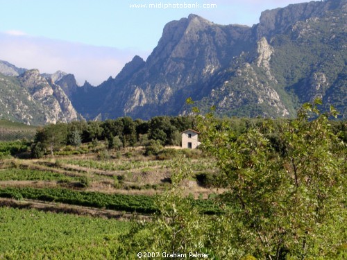 Haut Languedoc Regional Park