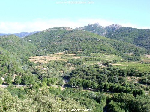 Haut Languedoc Regional Park