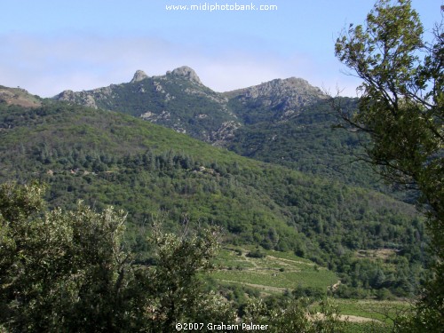 Haut Languedoc Regional Park