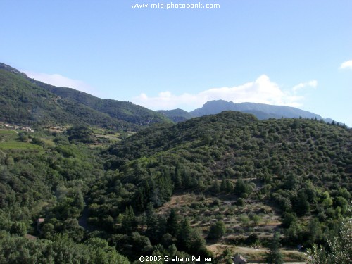 Haut Languedoc Regional Park