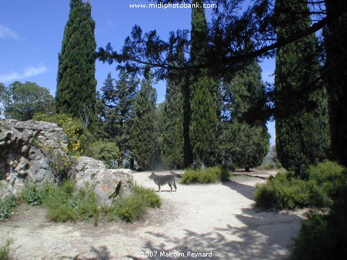 Nissan les Enserune - Gallo-Roman Settlement