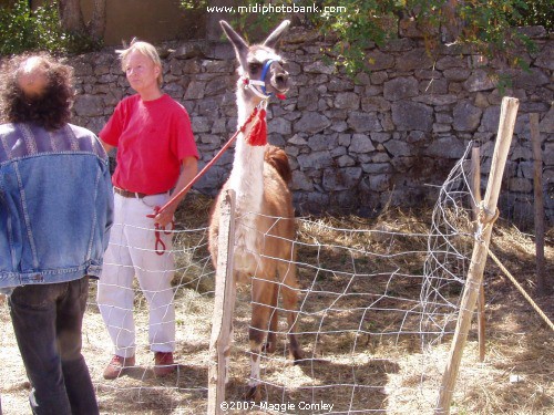 Corbières Village Fair