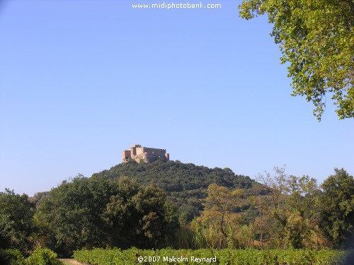 Cathar Castles