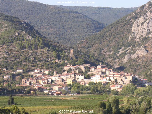 Haut Languedoc Regional Park