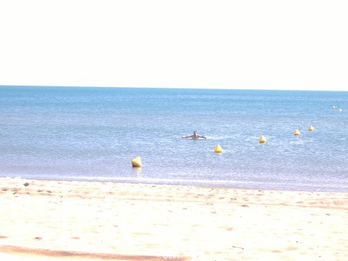 "Last of the Summer Bathers