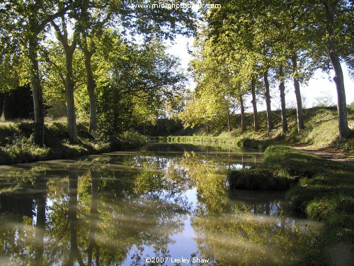 Reflections in the Canal du Midi