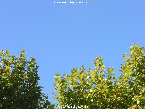 "Béziers Blue" Sky