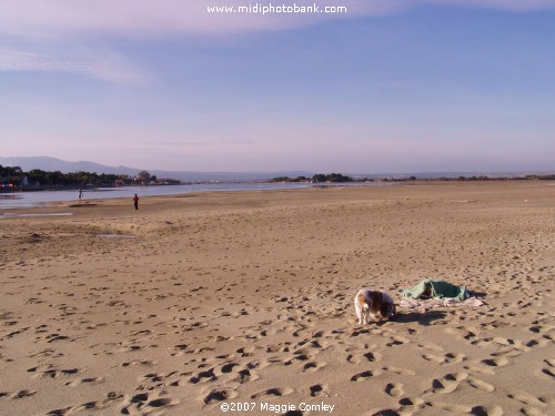 Sunny November Sunday in the Aude