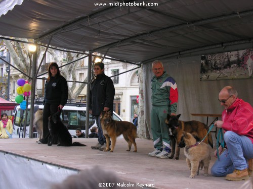 Telethon (Téléthon) Béziers 2007