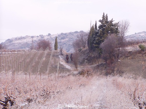 Corbières Winter