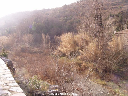 Corbières - River Berre