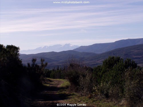 Mount Canigou in the Pyrenées