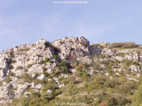 Museum of Prehistory at Tautavel