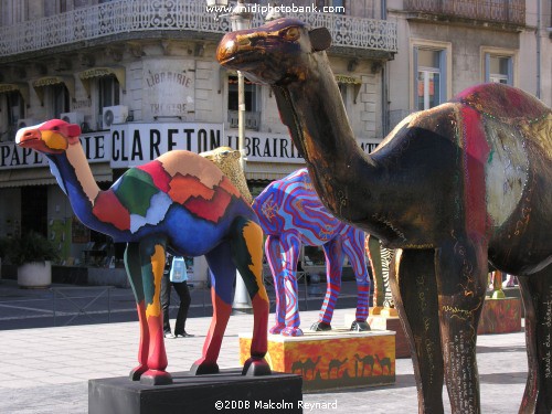 The Béziers Camel