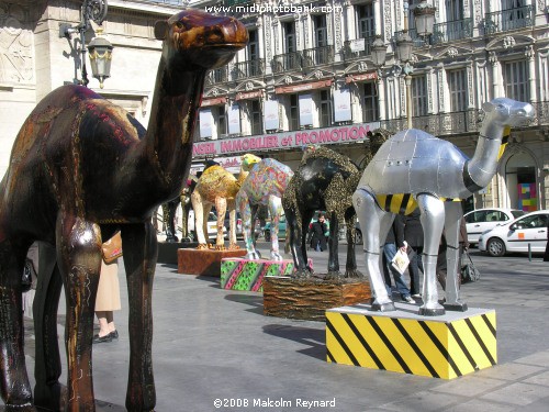 The Béziers Camel