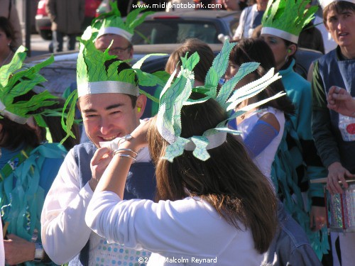 "Lo Carnival" - Carnival time in Béziers