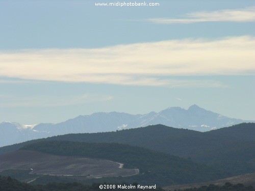 A Walk in the Corbières Vineyards