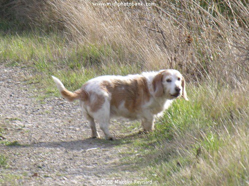 A Walk in the Corbières Vineyards