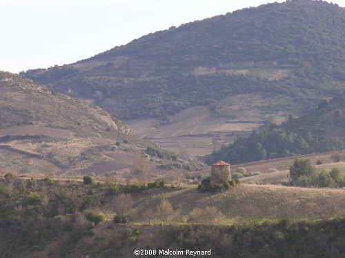 A Walk in the Corbières Vineyards