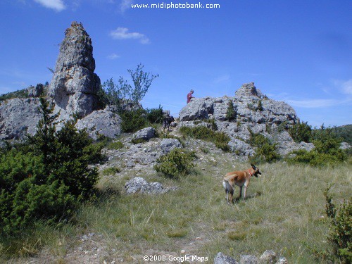 The "Larzac Plain"