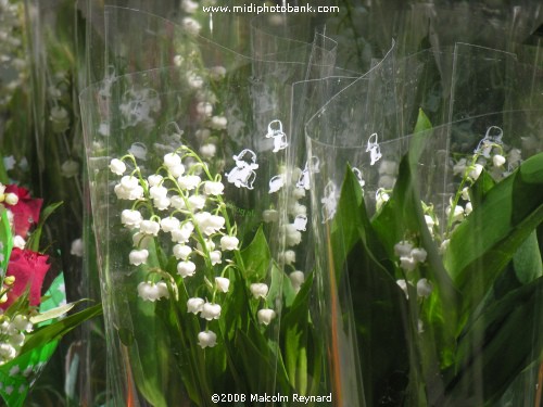 May 1st "Muguet"