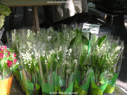 May 1st "Muguet"