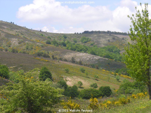 Haut Languedoc Regional Park