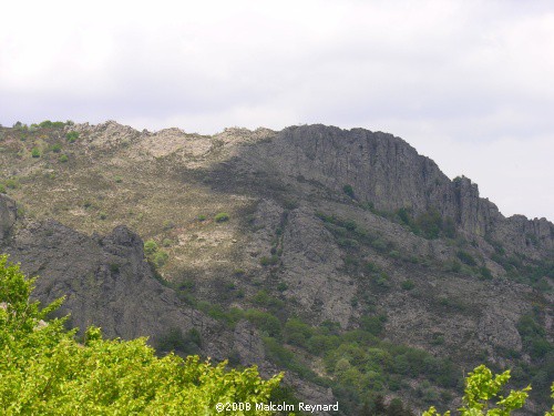 Haut Languedoc Regional Park