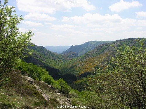 Haut Languedoc Regional Park