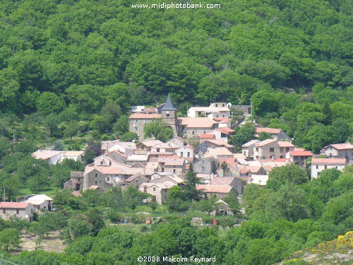 Haut Languedoc Regional Park