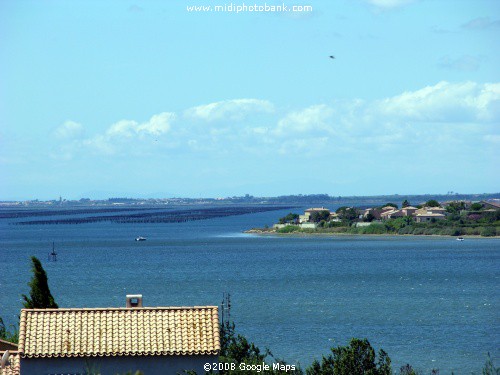 "Lazing on a sunny afternoon" - Balaruc les Bains - Southern France