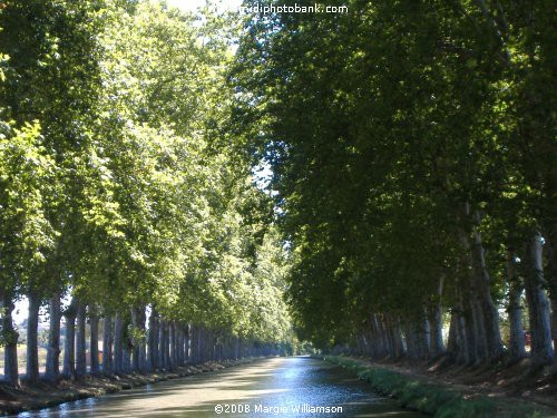 Canal du Midi - Aude