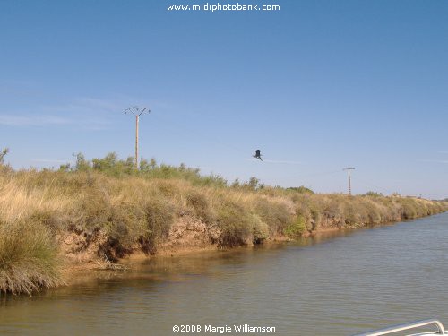 Canal du Midi - Etang de Thau