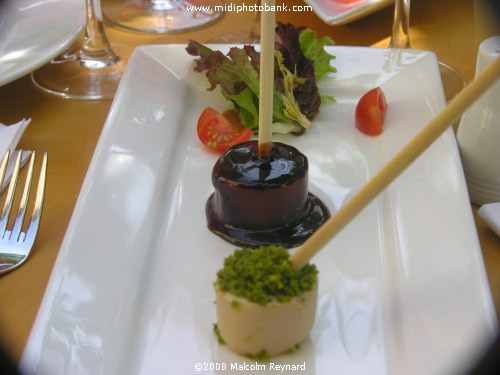 AUDE - The Forest Of Ramondens