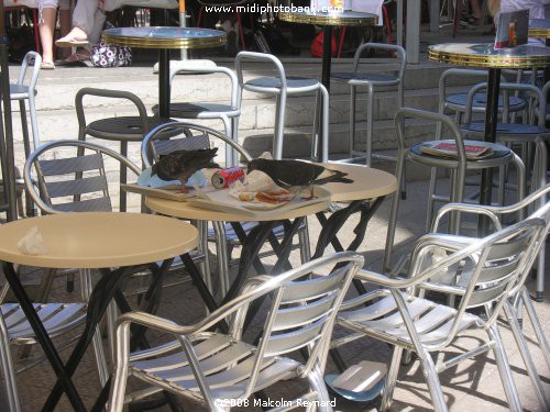 Montpellier - "Alfresco" dining