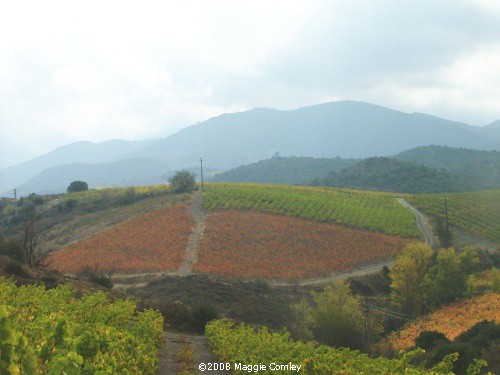 Autumn Colours in the Corbières