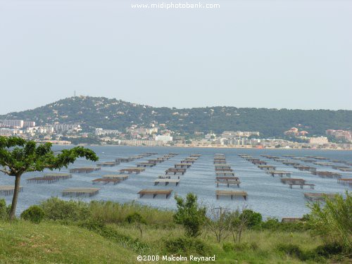 Etang de Thau - Midi Canal