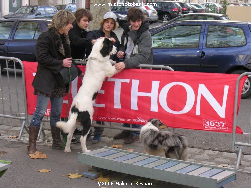 The Christmas Season gets under way in Béziers - La saison de Noël a débuté à Béziers