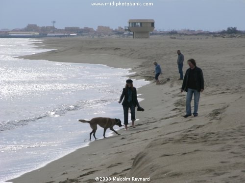 The quiet winter beaches of the Languedoc