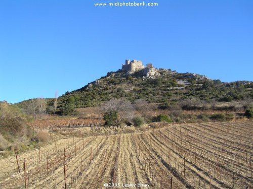 Christmas in the South of France