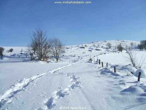 Christmas in the South of France