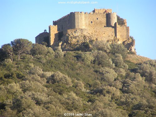 Corbières - Cathar Château Saint Martin le Toques