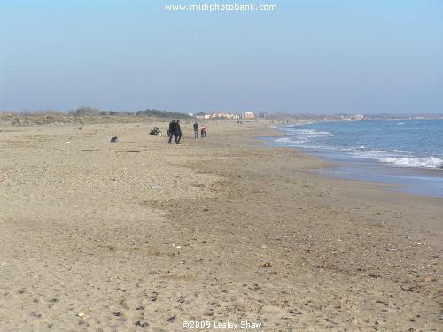 "Midwinter" - On the Beach