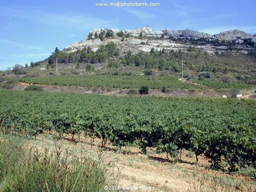 Corbières - wines