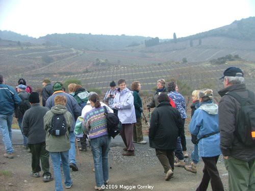 A Walk in the Corbières